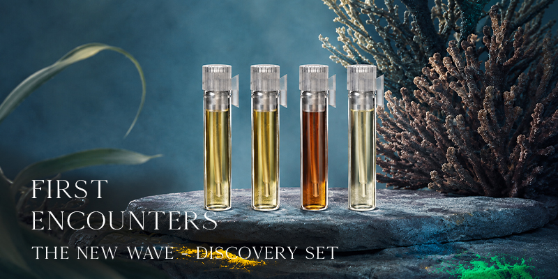 The New Wave Discovery Set