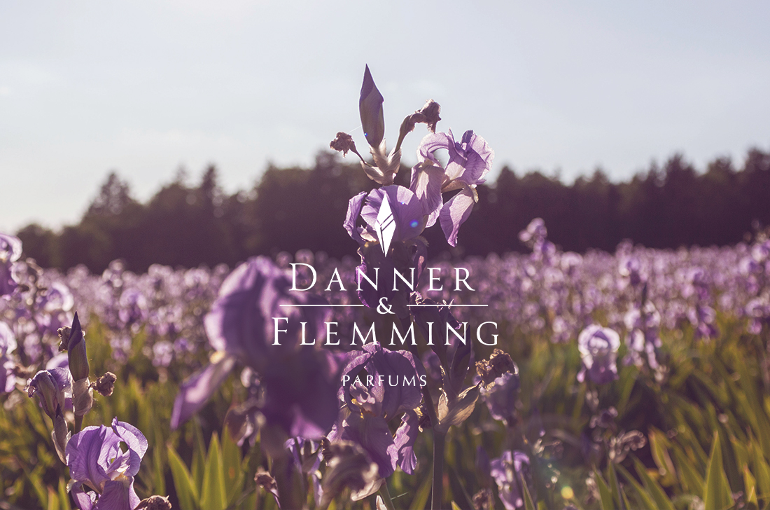 The World's Rarest Iris Fragrance?  From field to bottle in Lower Bavaria