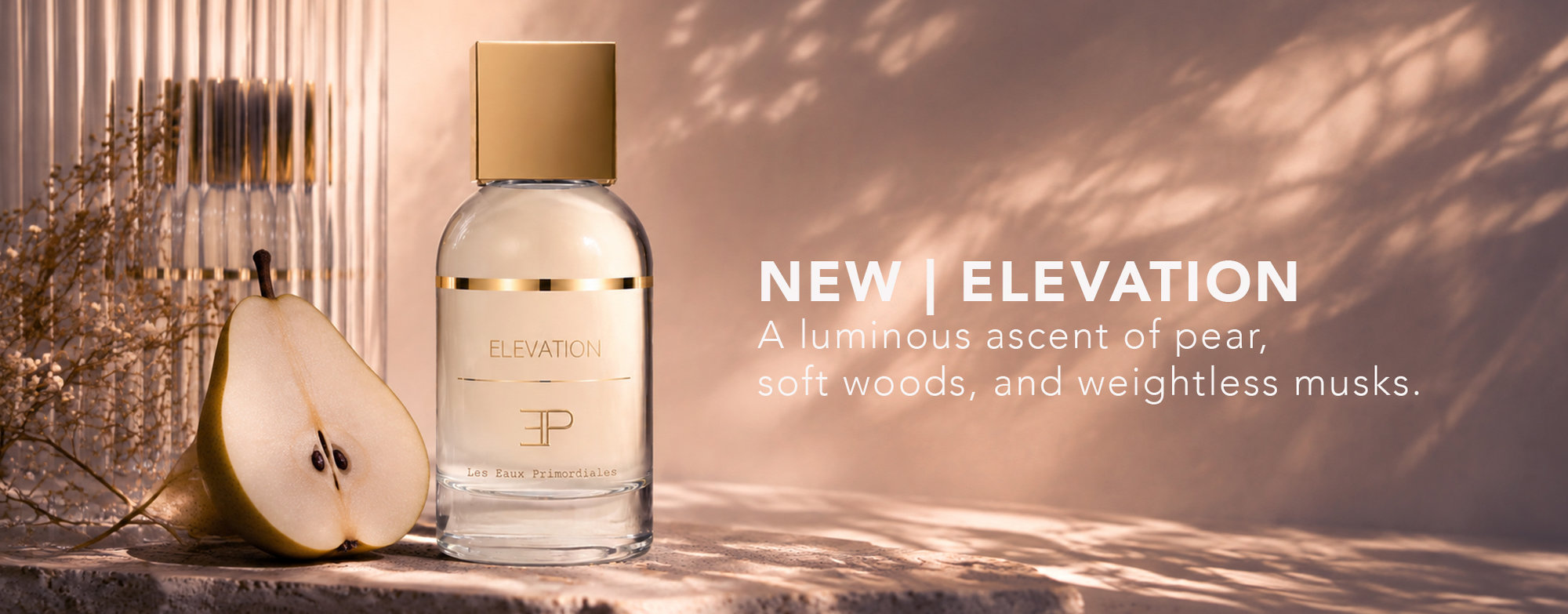 NEW! ELEVATION BY Les Eaux Primordiales
